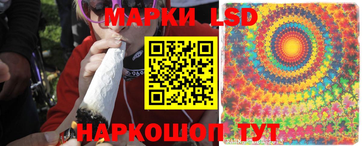ЛСД экстази ecstasy Камышлов