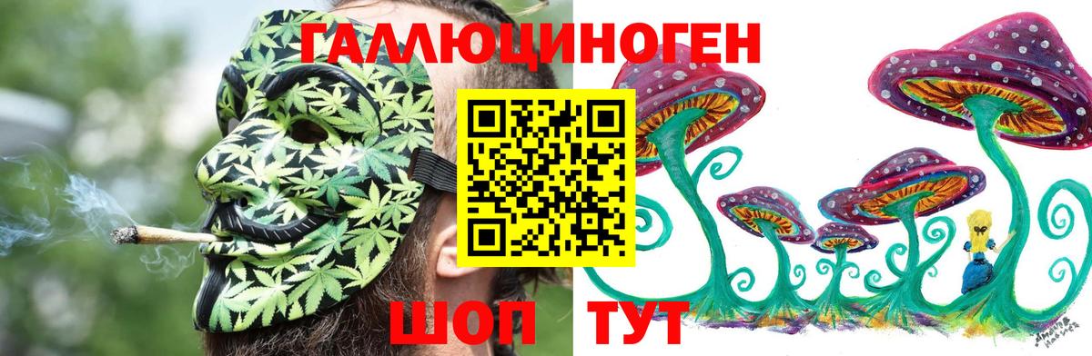 Камышлов  Псилоцибиновые грибы ЛСД  Вход с VPN 