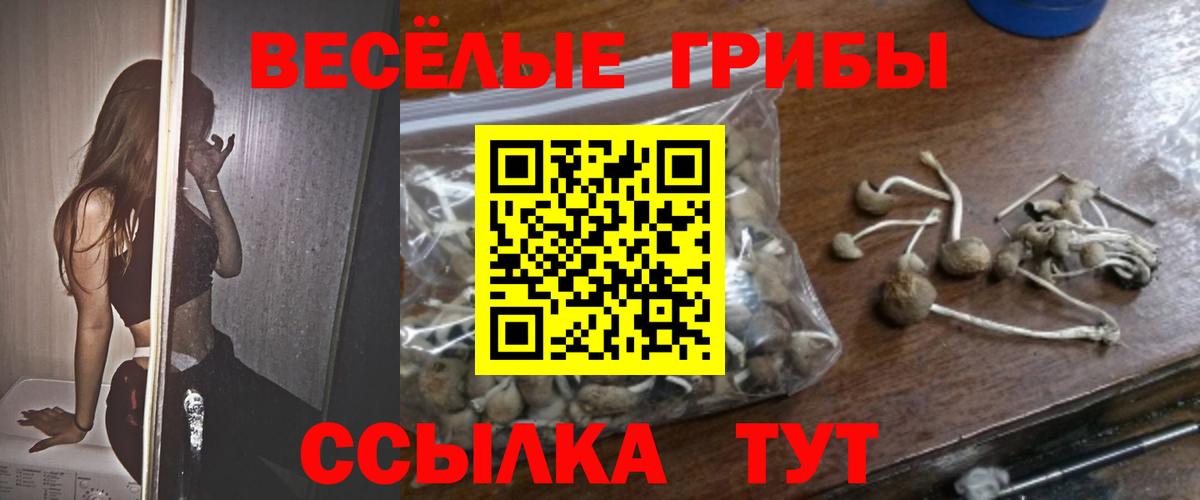 Галлюциногенные грибы Cubensis Камышлов